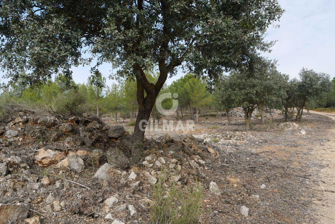 Finca De Caza Y Recreo En Cuenca Gilmar La Casa De Tus Sue Os